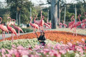 BIB: 
                            <button type="button" onclick="openModal(27344164)" class="btn btn-primary btn-sm float-right btn-popup" data-toggle="modal" data-target=".modal-high-quality">
                        <i class="fas fa-shopping-cart"></i> Add to Cart
                    </button>
                                            <button type="button" onclick="isThisMe(27344164, true)" class="btn btn-success btn-sm float-right btn-popup btn-isme hidden" data-toggle="tooltip" data-placement="bottom" title="นี่คือรูปของคุณใช่ไหม คลิกที่นี่เพื่อเอาเข้าอัลบั้ม">
                        <i class="fas fa-plus"></i> Add to album
                    </button>
                    <button type="button" onclick="isThisMe(27344164, false)" class="btn btn-warning btn-sm float-right btn-popup btn-isnotme hidden">
                        <i class="fas fa-ban"></i> Remove from album
                    </button>